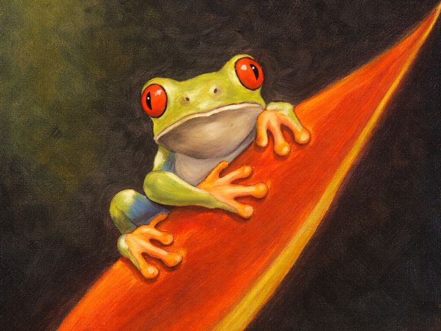 Tree Frog