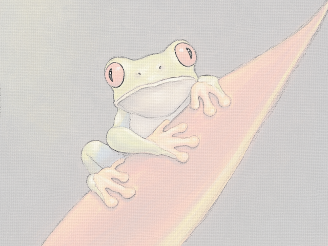 Tree Frog