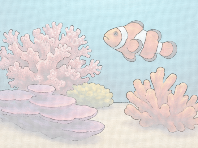 Ocean Study